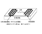 垣尾-省司-教授