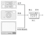 大木-真-教授 